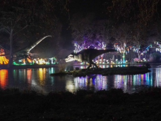 China Lights im K&ouml;lner Zoo