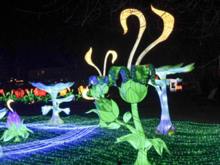 China Lights im K&ouml;lner Zoo