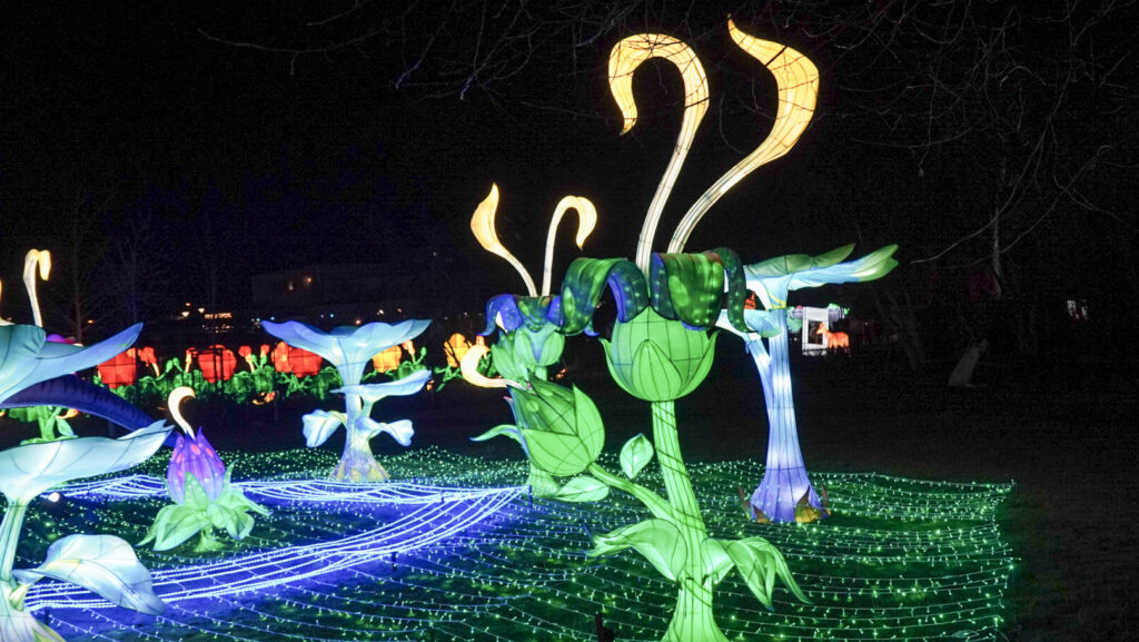 China Lights im K&ouml;lner Zoo