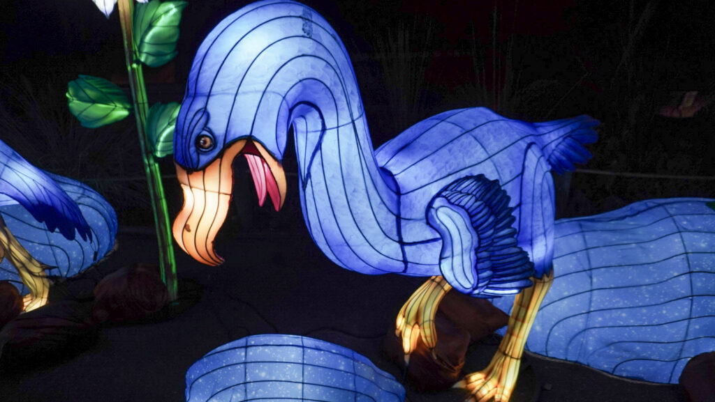 China Lights im K&ouml;lner Zoo