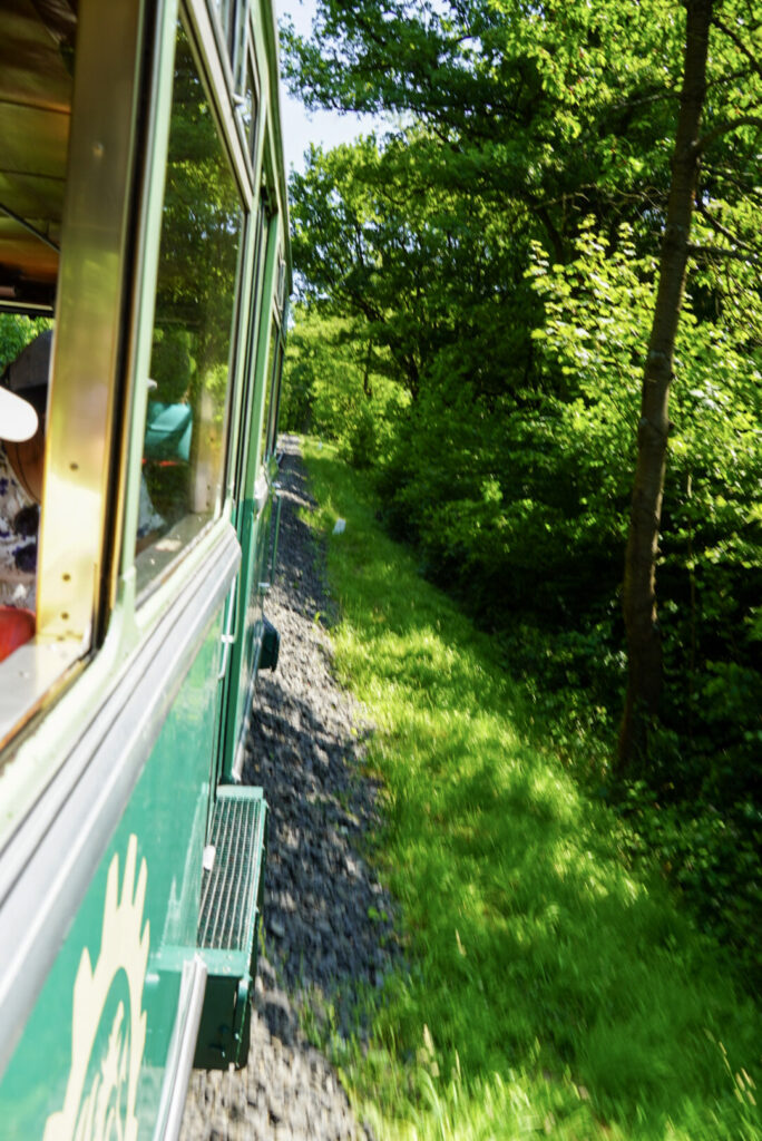 Bootsfahrt und Besuch des Drachenfelsens