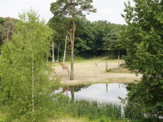 Burgers' Zoo