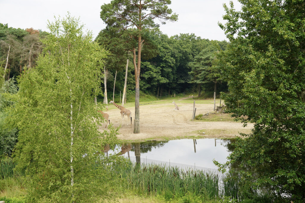Burgers' Zoo Burgers' Zoo