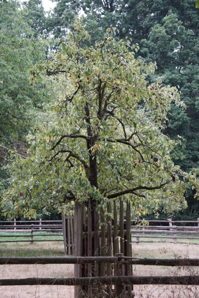 Zeitblende 1975 - Freilichtmuseum Kommern