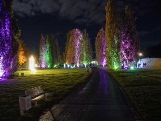 Herbstlichter Brückenkopfpark Jülich Herbstlichter Brückenkopfpark Jülich