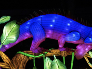 China Lights im K&ouml;lner Zoo