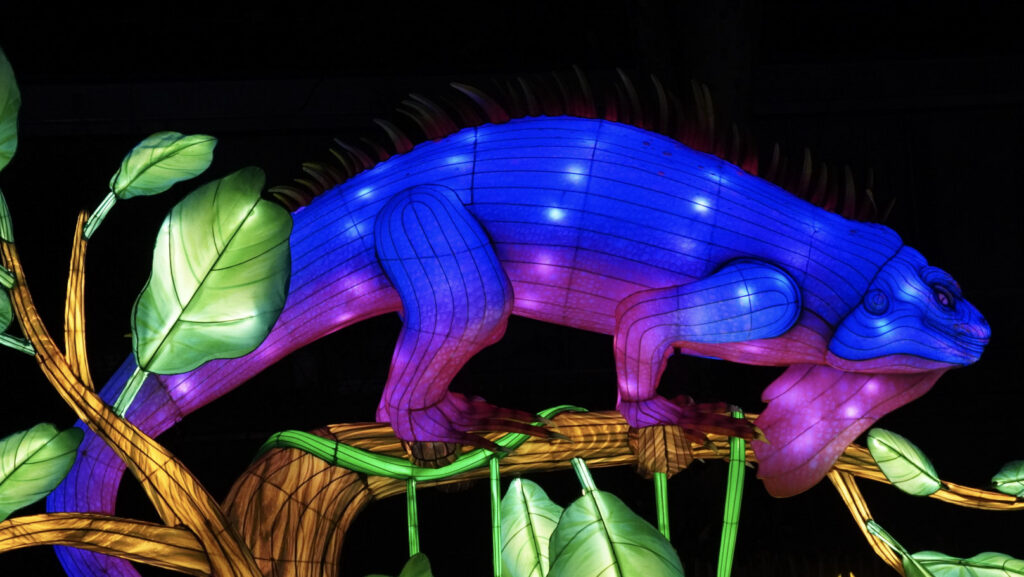 China Lights im K&ouml;lner Zoo