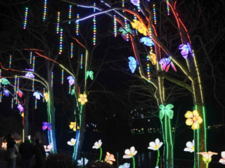 China Lights im K&ouml;lner Zoo