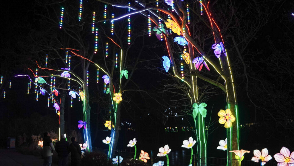 China Lights im K&ouml;lner Zoo