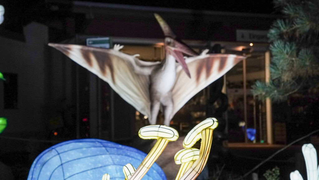 China Lights im K&ouml;lner Zoo