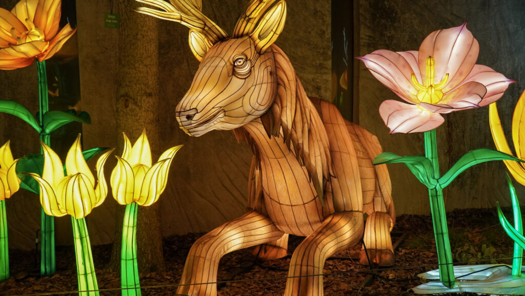 China Lights im K&ouml;lner Zoo