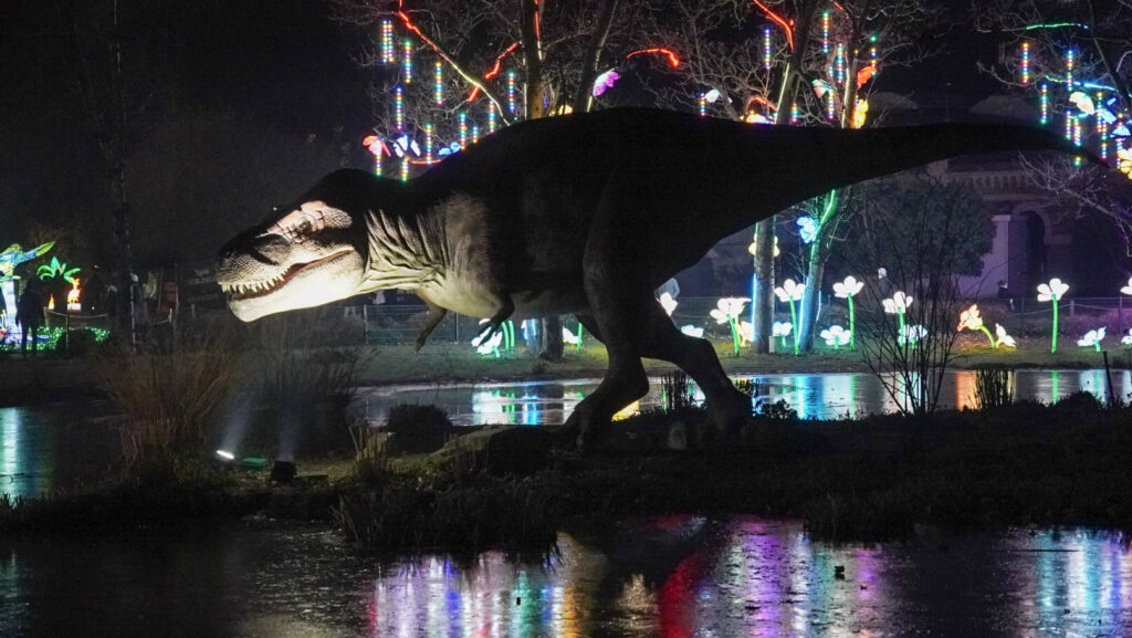 China Lights im K&ouml;lner Zoo