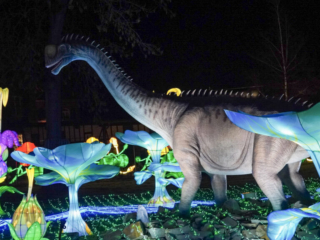 China Lights im K&ouml;lner Zoo