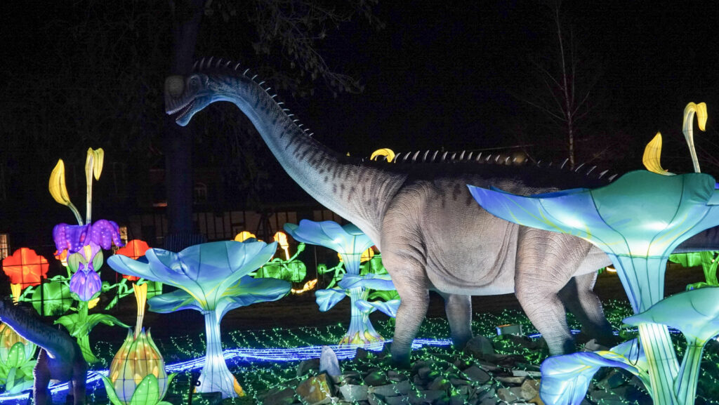 China Lights im K&ouml;lner Zoo