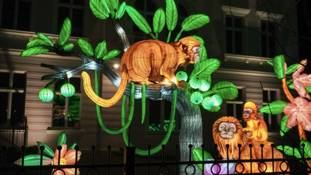 China Lights im K&ouml;lner Zoo