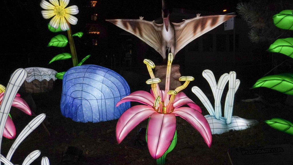 China Lights im K&ouml;lner Zoo