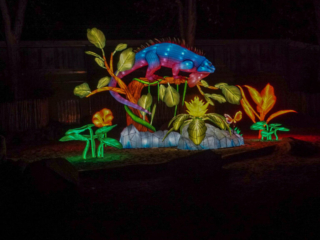 China Lights im K&ouml;lner Zoo