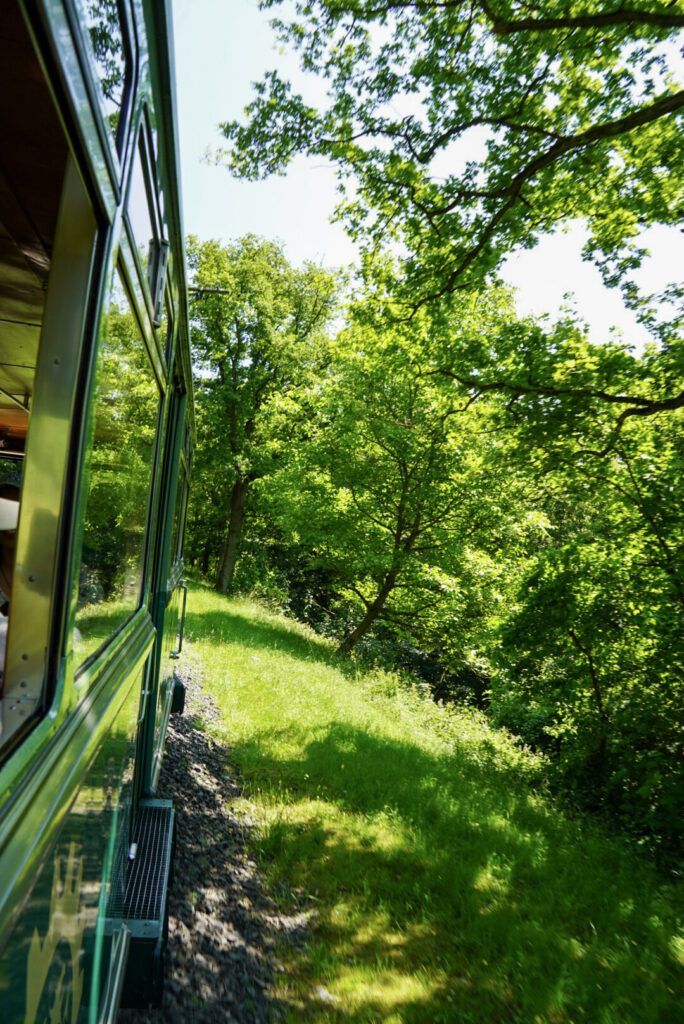 Bootsfahrt und Besuch des Drachenfelsens