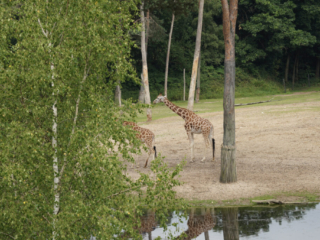 Burgers' Zoo