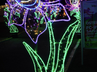 Garden of Lights Garden of Lights