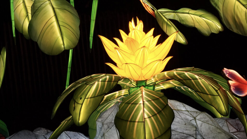 China Lights im K&ouml;lner Zoo