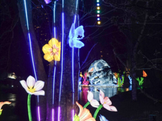 China Lights im K&ouml;lner Zoo