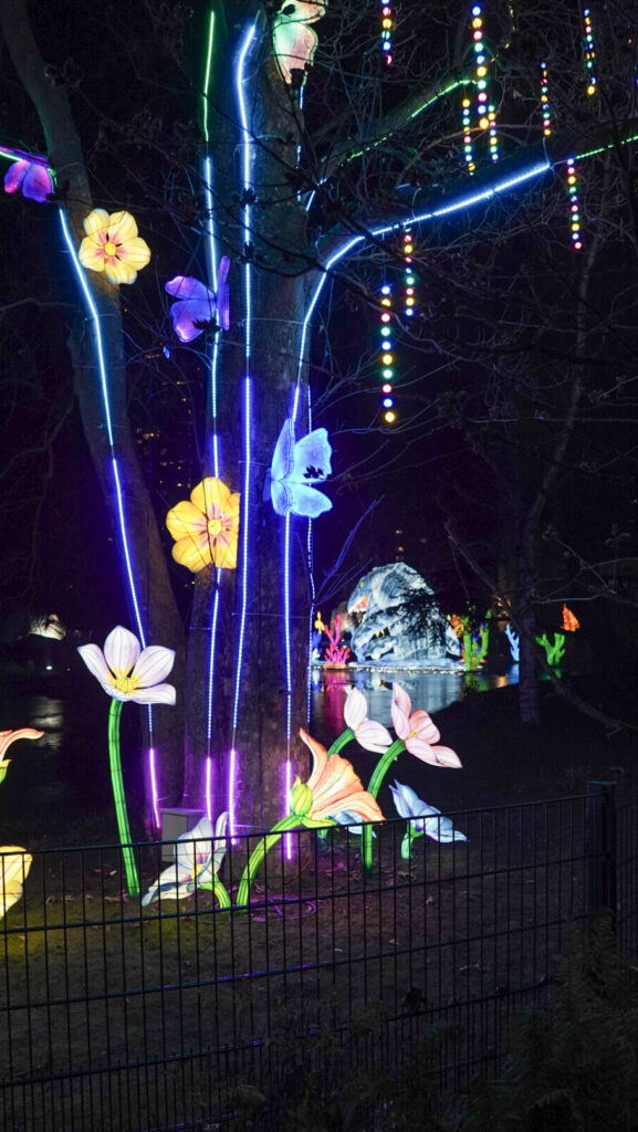 China Lights im K&ouml;lner Zoo