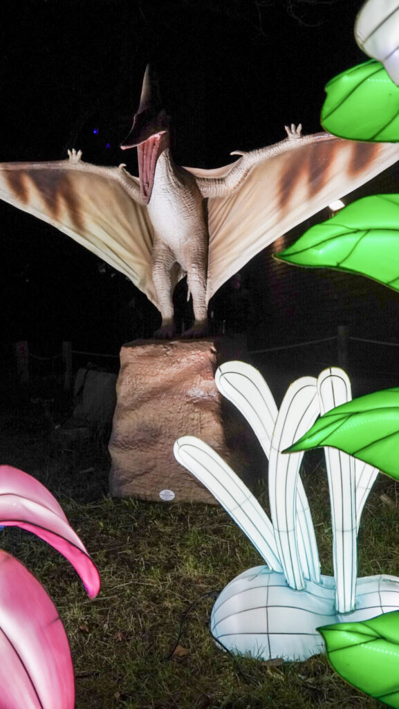China Lights im K&ouml;lner Zoo