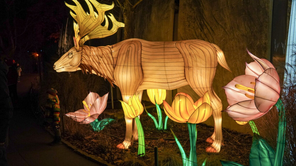 China Lights im K&ouml;lner Zoo