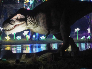 China Lights im K&ouml;lner Zoo