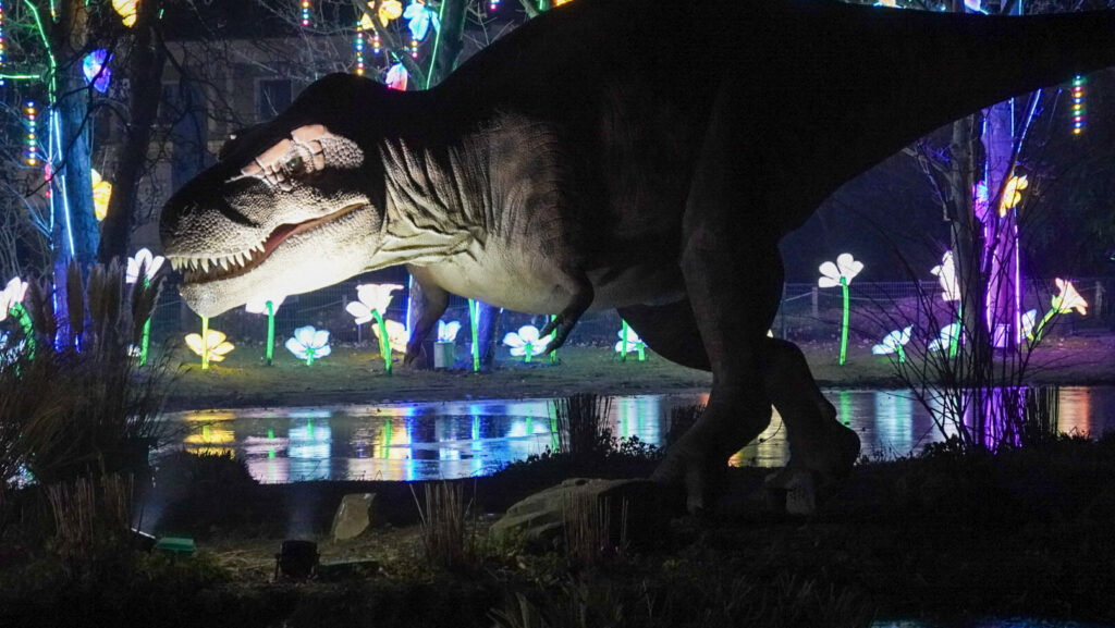 China Lights im K&ouml;lner Zoo