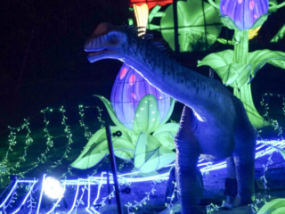China Lights im K&ouml;lner Zoo