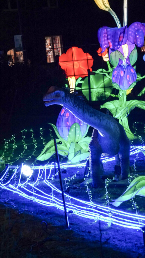 China Lights im K&ouml;lner Zoo