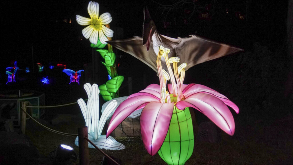 China Lights im K&ouml;lner Zoo