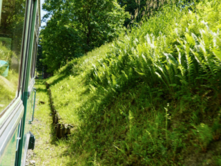 Bootsfahrt und Besuch des Drachenfelsens