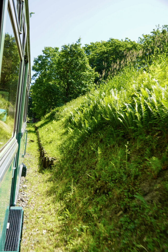 Bootsfahrt und Besuch des Drachenfelsens