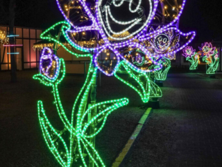 Garden of Lights Garden of Lights