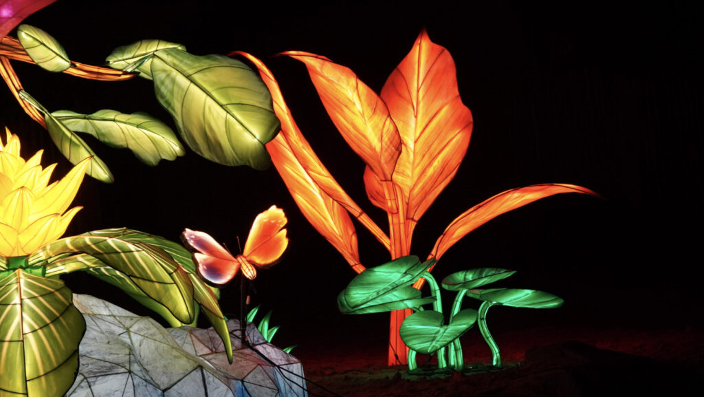 China Lights im K&ouml;lner Zoo