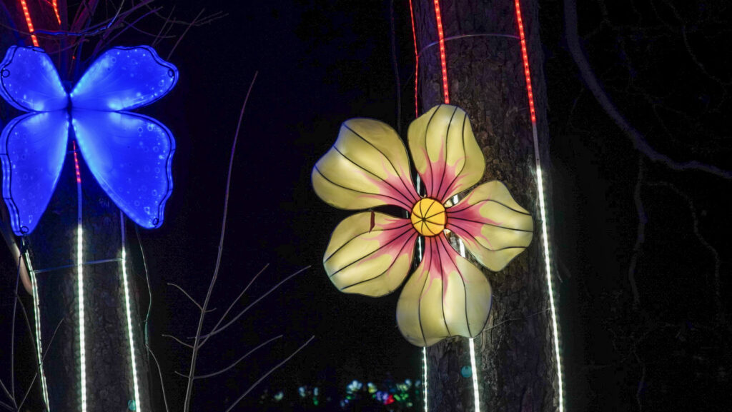 China Lights im K&ouml;lner Zoo