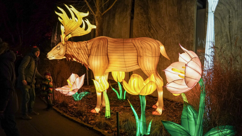 China Lights im K&ouml;lner Zoo