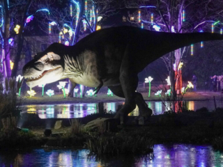 China Lights im K&ouml;lner Zoo
