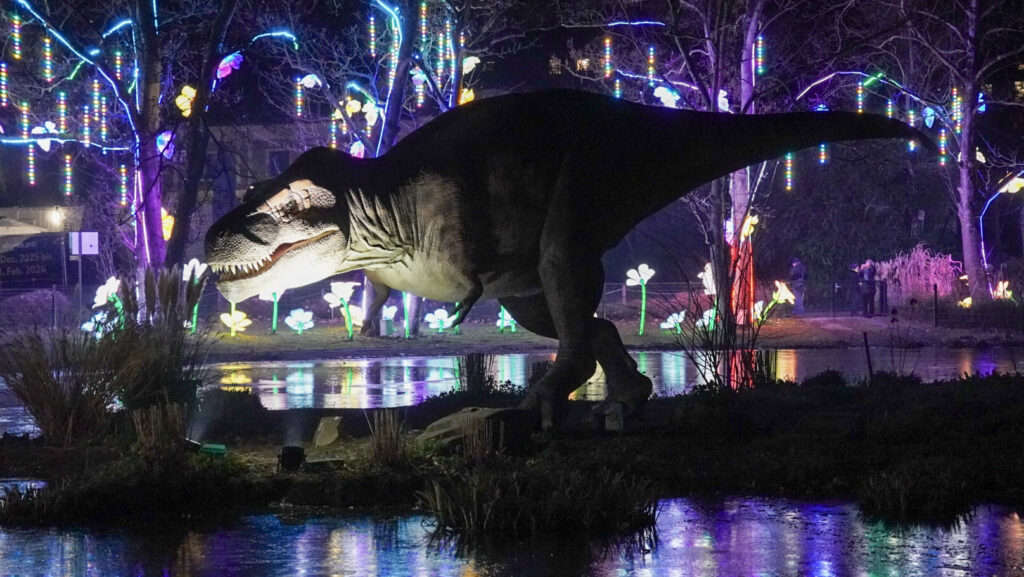 China Lights im K&ouml;lner Zoo