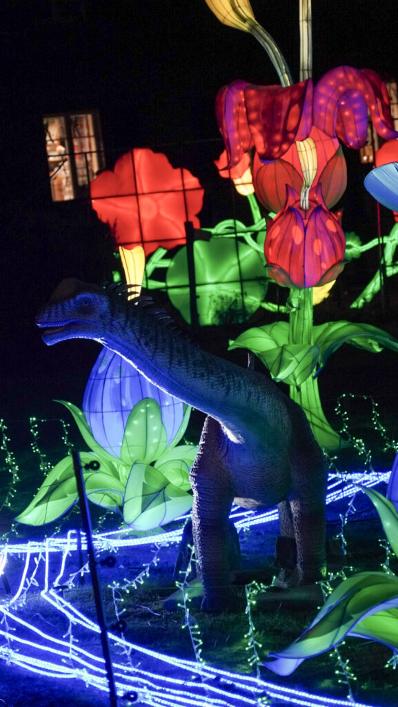 China Lights im K&ouml;lner Zoo