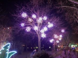 China Lights im K&ouml;lner Zoo