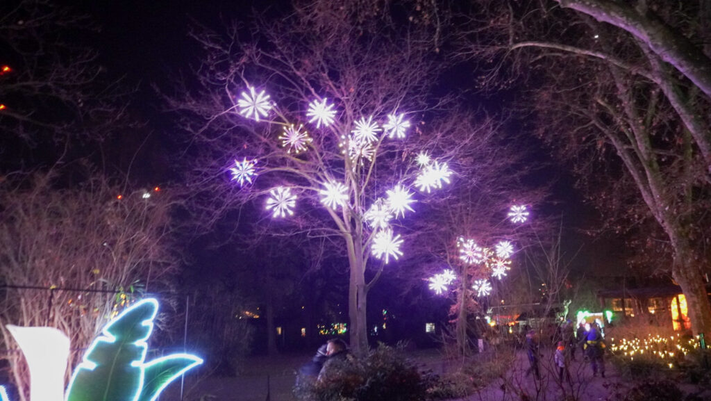 China Lights im K&ouml;lner Zoo