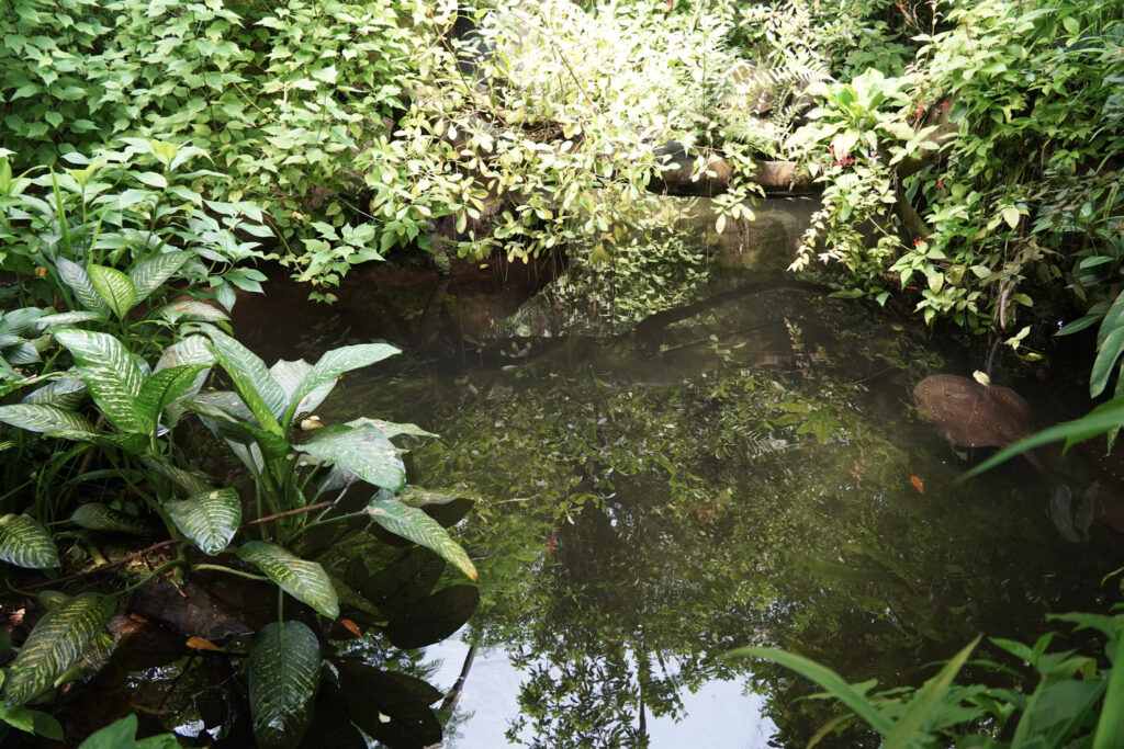 Burgers' Zoo Burgers' Zoo