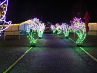 Garden of Lights Garden of Lights