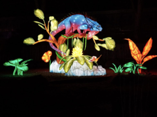 China Lights im K&ouml;lner Zoo