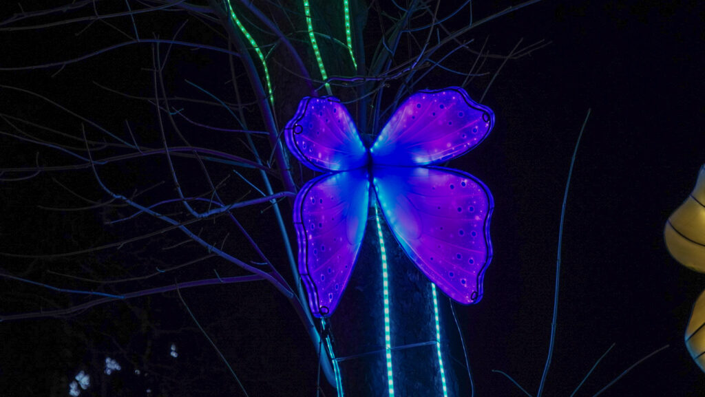 China Lights im K&ouml;lner Zoo