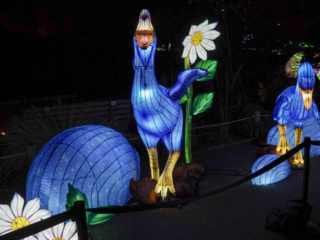 China Lights im K&ouml;lner Zoo